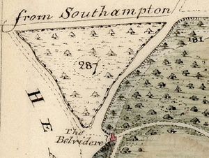 Detail from Surveys of Stoneham (1818)