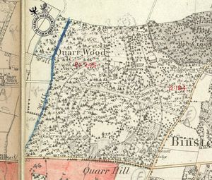 Plan of Quarr Wood