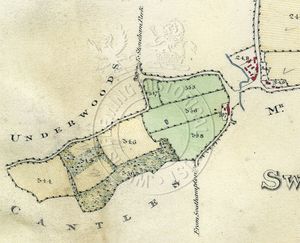 Detail of western portion of Swaythling Farm from Surveys of Stoneham, 1818