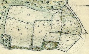 Shafletts from Survey of the Estates on the Isle of Wight, 1817